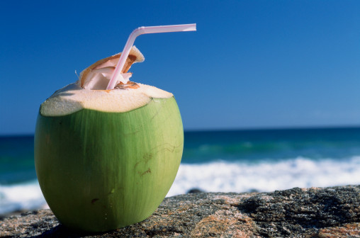 coconut